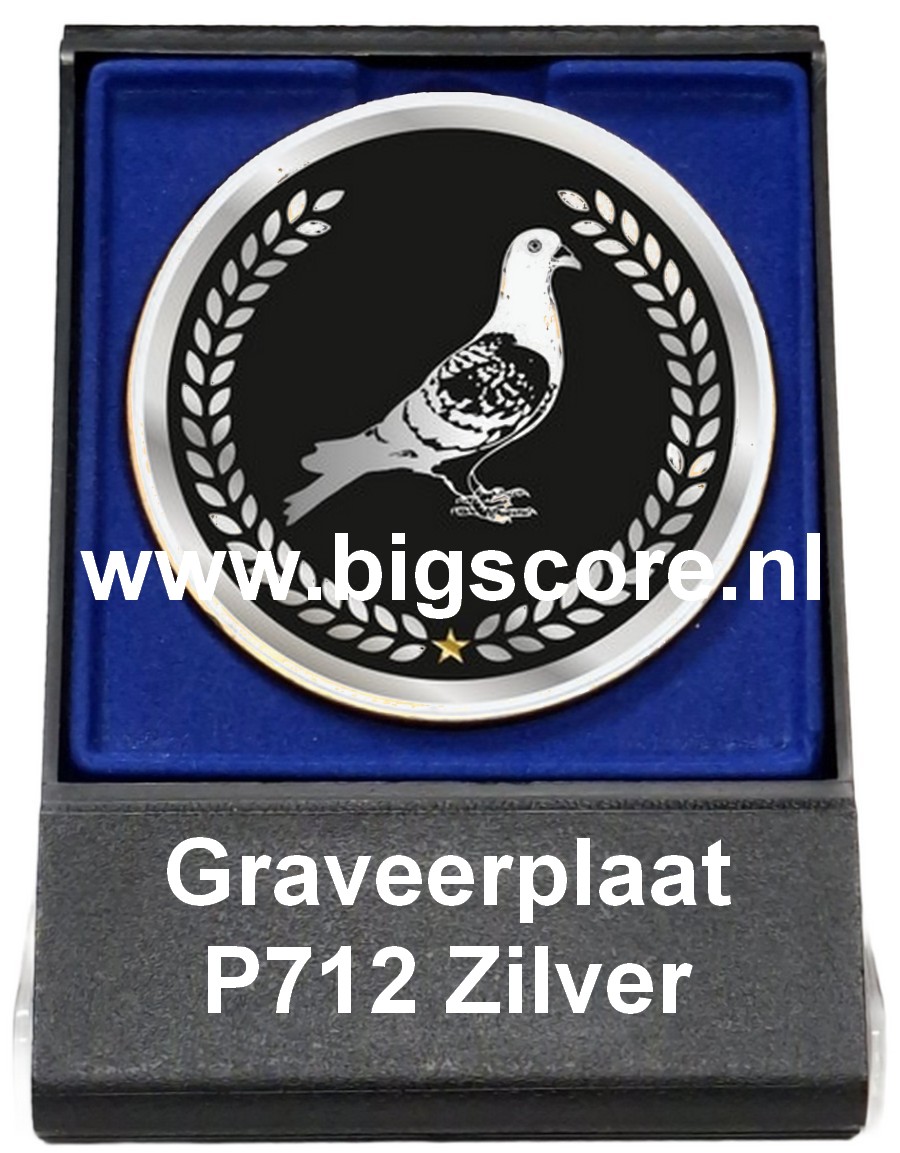 Duif Acryl in medailledoosje Blauw-Zwart G/Z/B